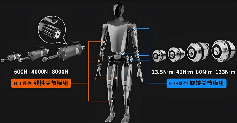 人形机器人关节驱动电机展示图