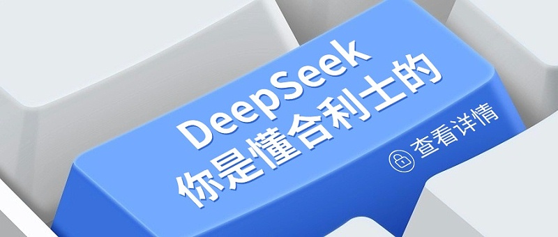 DeepSeek视角下的红桃国际