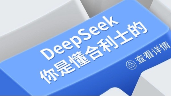 DeepSeek视角下的红桃国际
