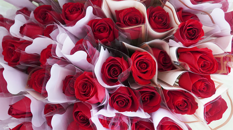 致敬女性力量：做不被定义的“她”！