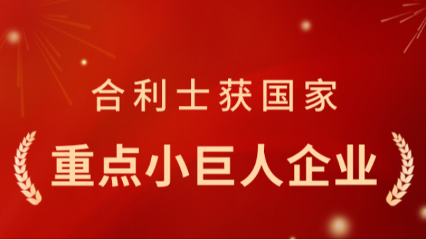 从小巨人到重点小巨人：红桃国际凭什么再获国家认可？